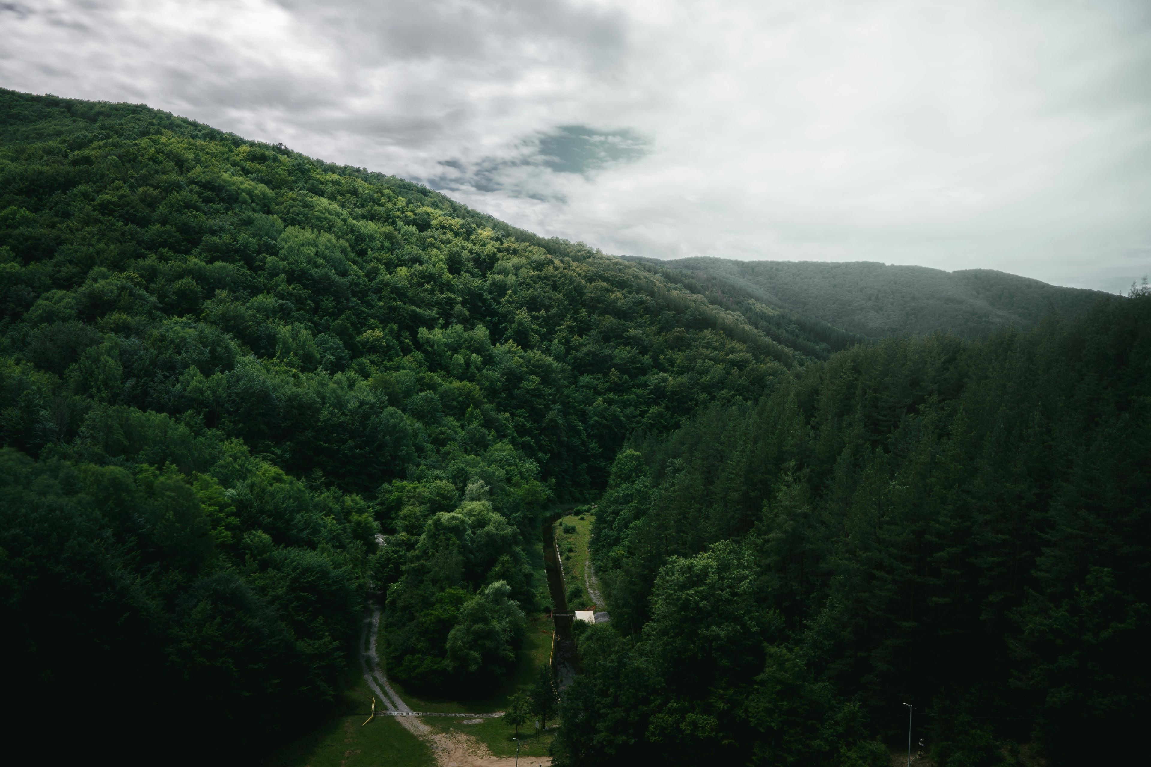 Chasse en ALSACE: Paysages variés, saisons de chasse, traditions régionales et réglementation cynégétique