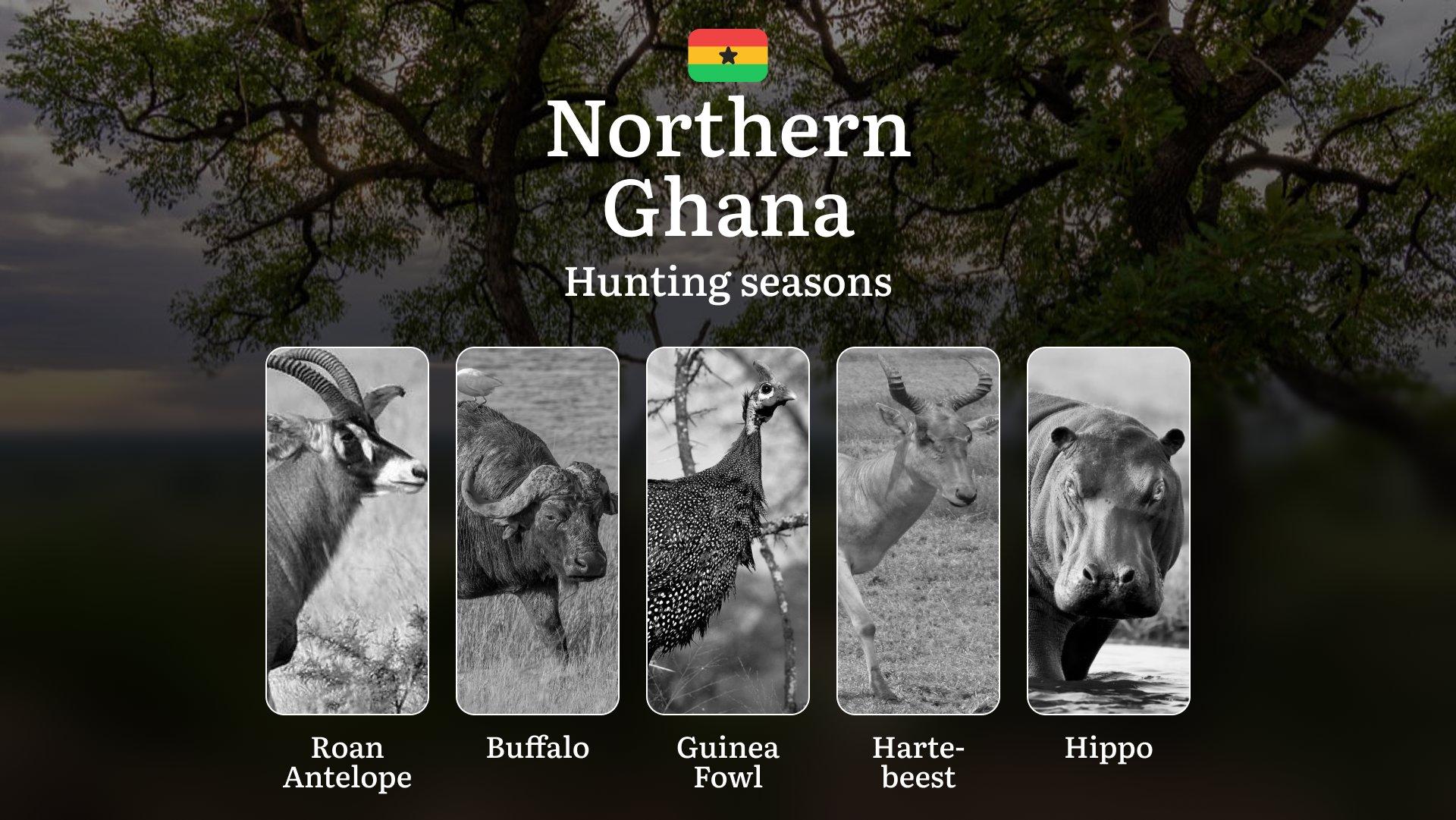 Hunting in Northern: Understanding Hunting Calendar, Legal Permits and Restrictions, Local Hunting Traditions