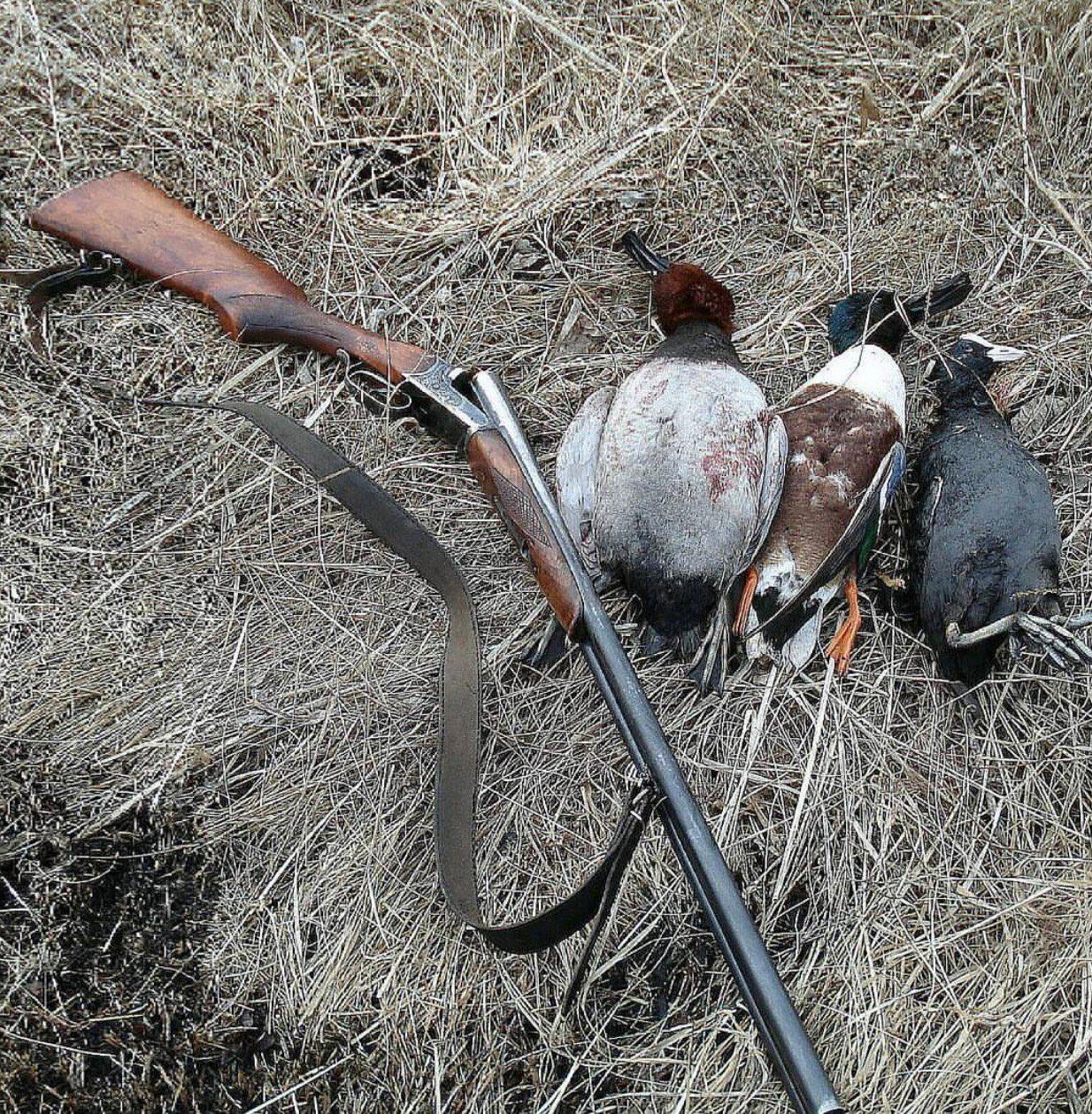 ОХОТА НА УТКУ ОСЕНЬЮ в России: методы, сроки, правила, цена, советы и интересные факты