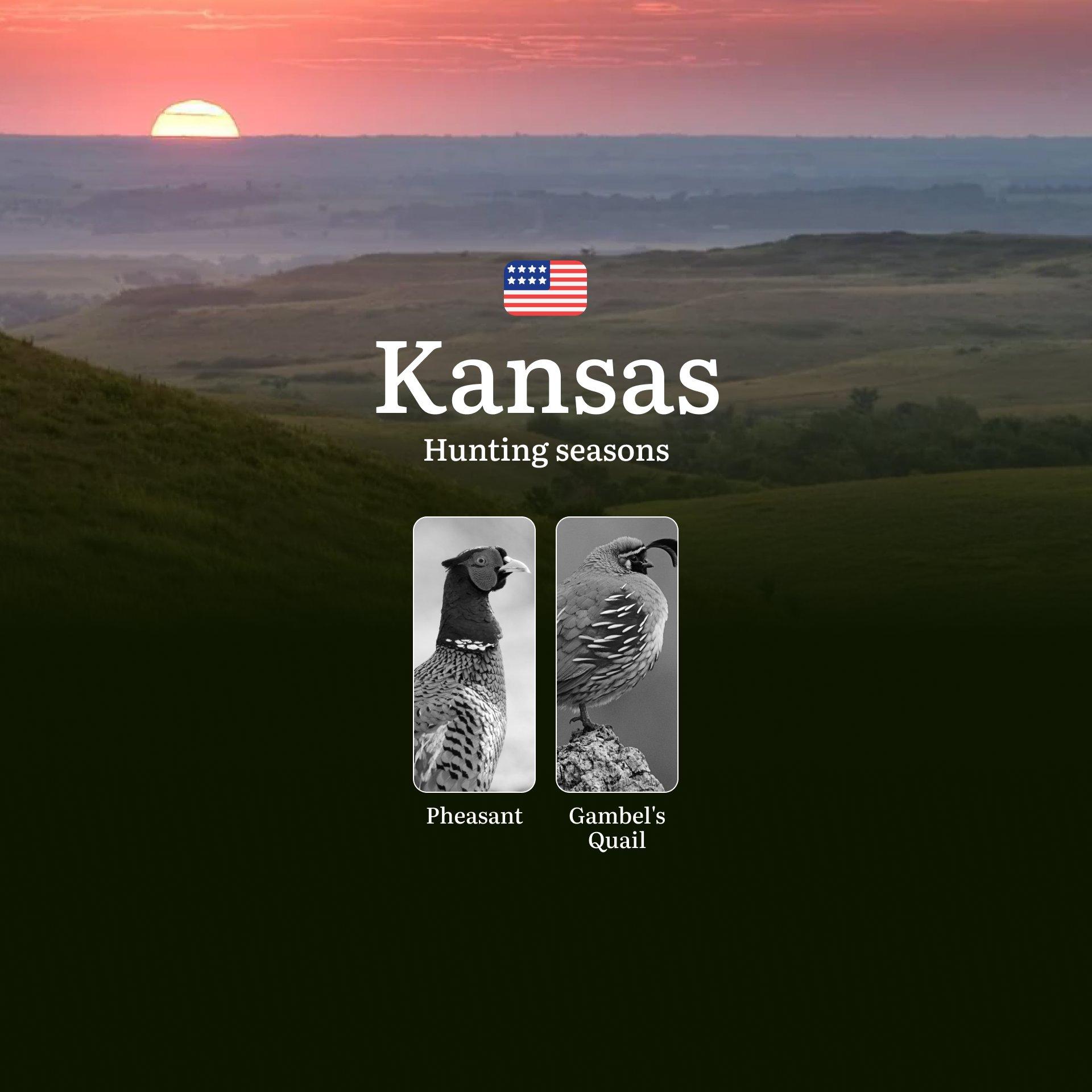 Seasons of Hunting in Kansas: Timing, Rules, Permits and Best Periods for Hunting, Restrictions and Prohibitions, Fines for Violating Hunting