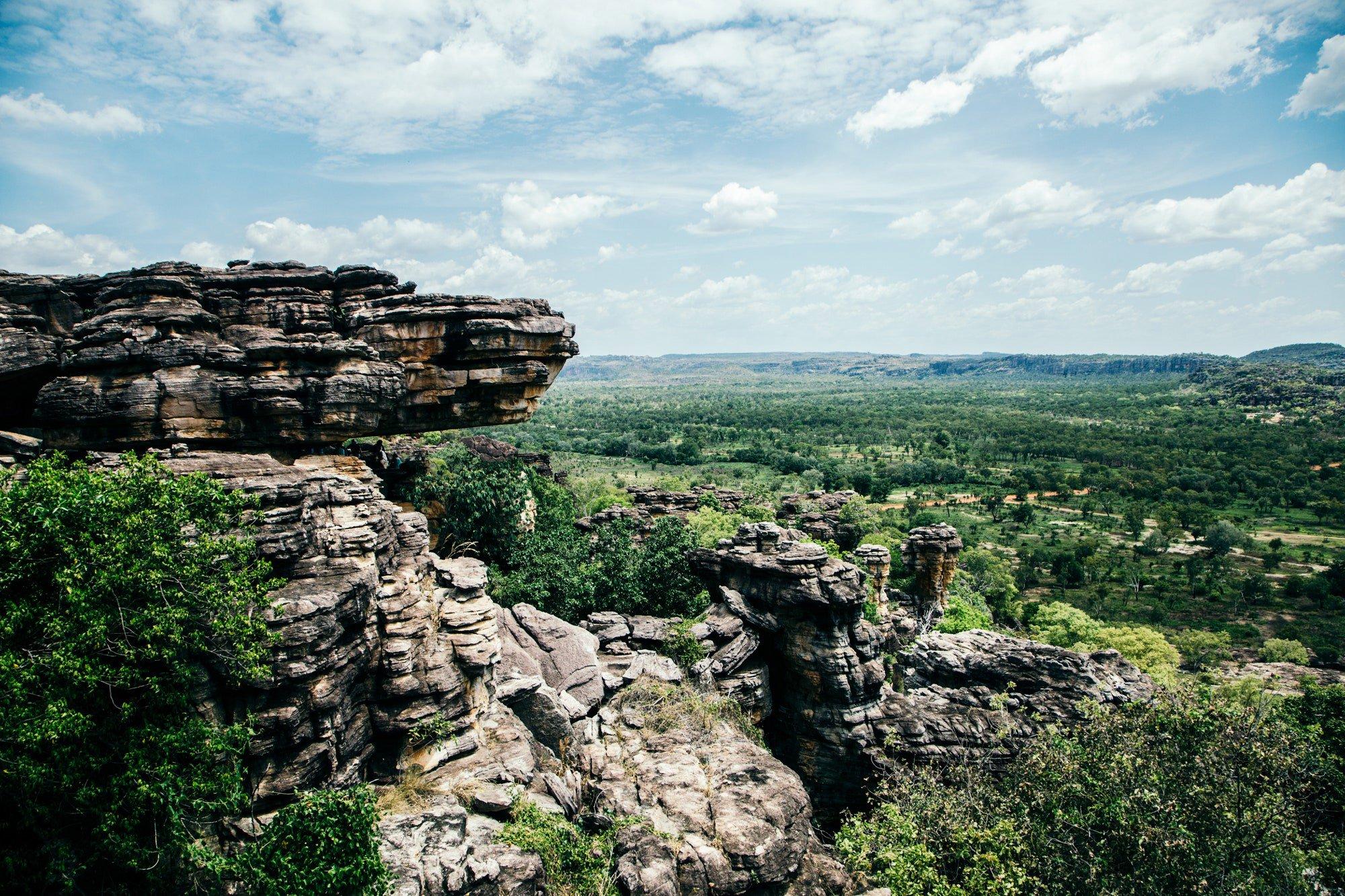 Top End Hunting NT: Adventure and Strategy in Tropical North.