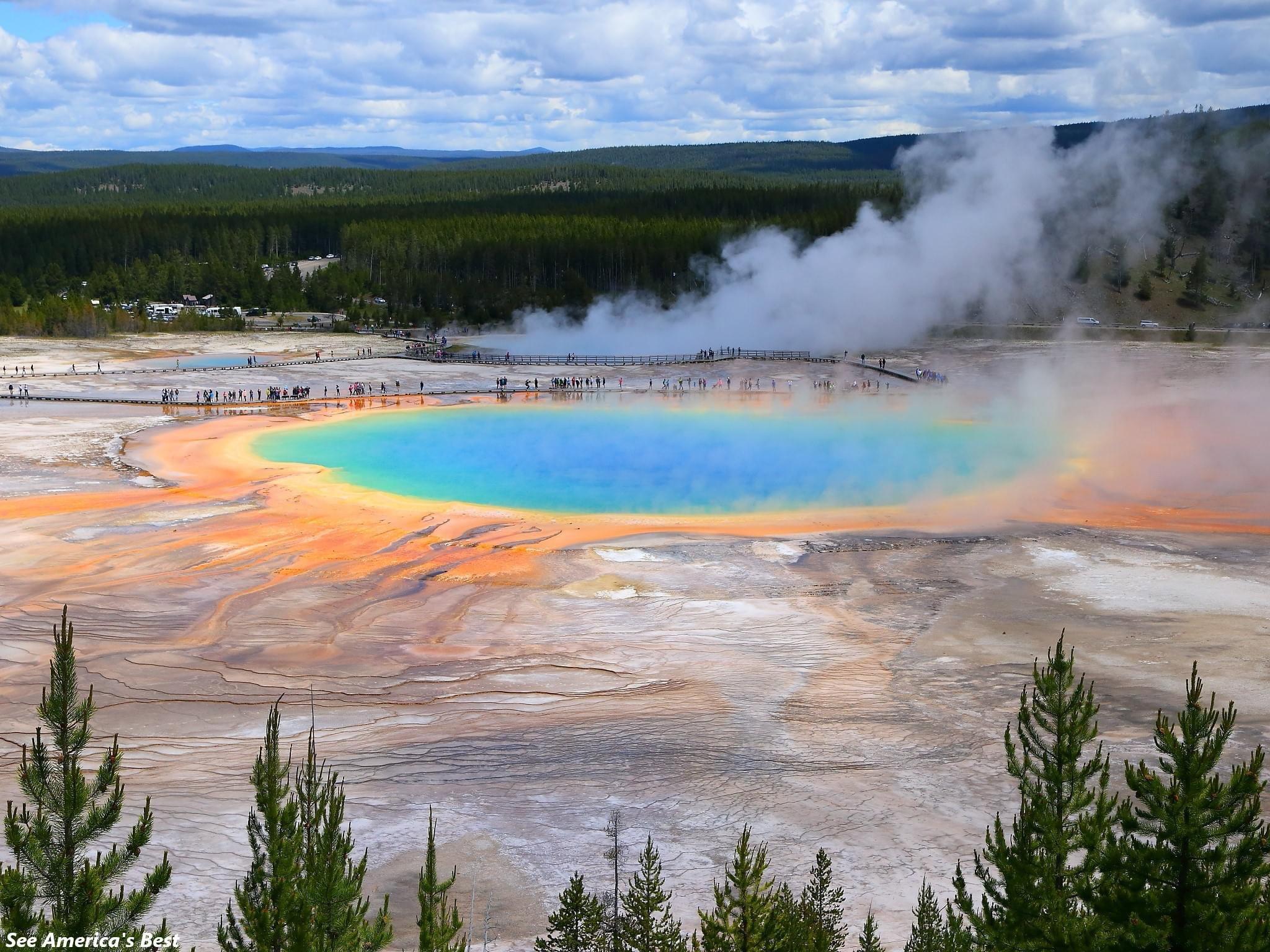 There are so many to see in Yellowstone National Park!