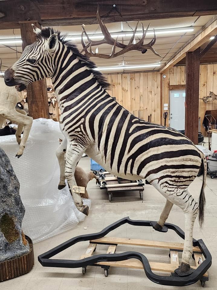A few shots around the auction  gallery as we continue to get things ready for our spring auction in Maquoketa Iowa March 14-16