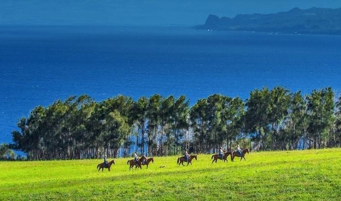The family-owned Pu’u O Hoku Ranch manages 14,000 acres of the precious forest, agricultural, and conservation lands on the east end of Molokai, Hawaii.