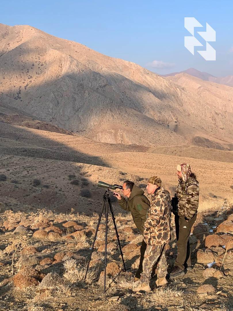 Red Sheep in Iran: Unique Offer with 40% Discount