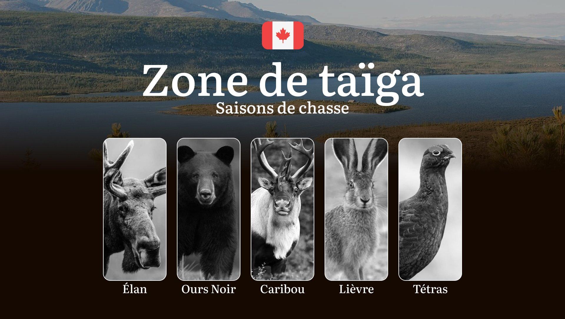 Saisons de chasse en ZONE DE TAÏGA (Canada): Les règles à connaître, les meilleures dates et les conseils pratiques