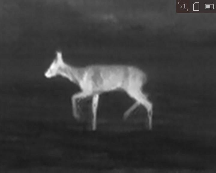 ATN OTS-XLT 160 2.5-10x Thermal Scope Review 