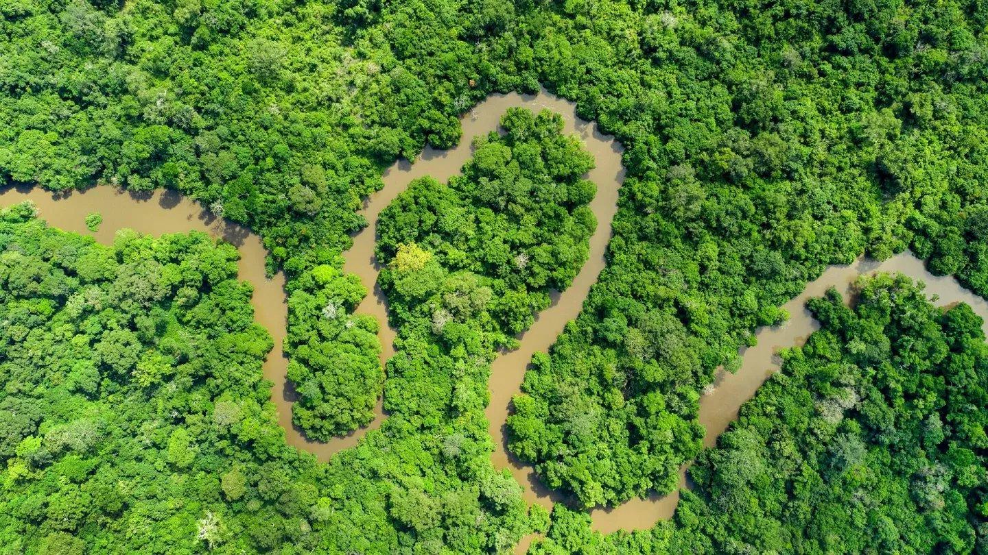 Hunting in Cuvette-Ouest: Remote Ecosystems, Low Population Density, and Elusive Game Species