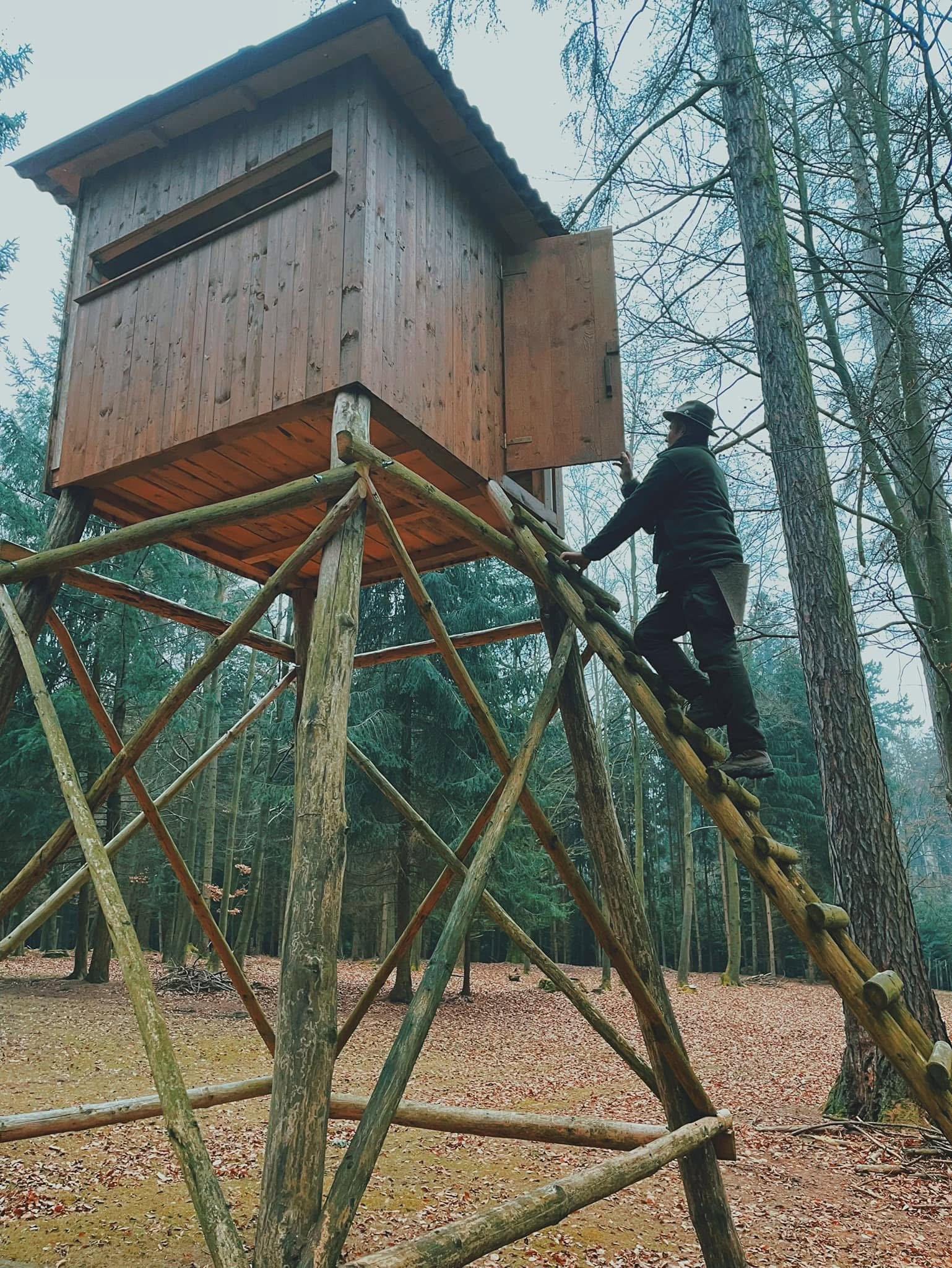 MOUFLONS EN RÉPUBLIQUE TCHÈQUE 🇨🇿