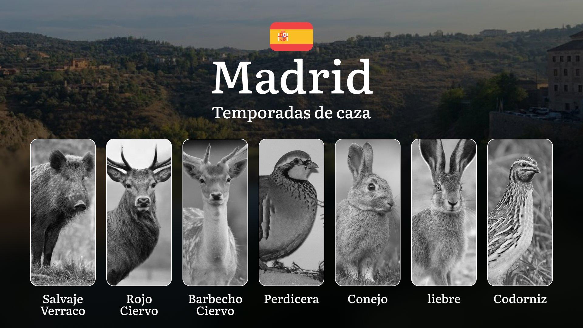 Cuándo y Dónde Cazar en MADRID: Temporadas y períodos de caza, Especies, Requisitos y Mejores Épocas