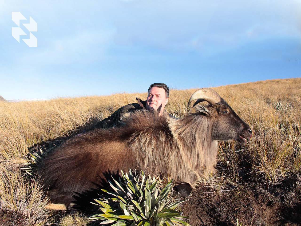 A new chapter of your travels: New Zealand