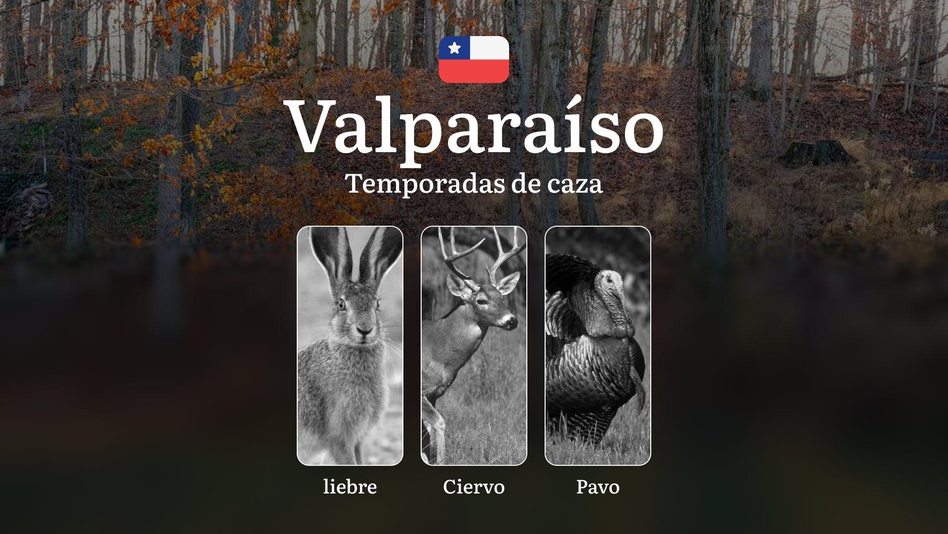 Región de Valparaíso: Temporadas de caza en Chile — épocas, licencias y normas para una caza exitosa, características estacionales y prohibidas