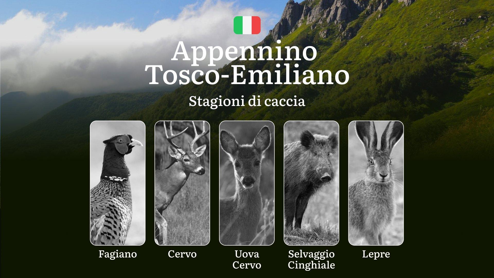 Dall'Appennino Tosco-Emiliano alle Foreste Casentinesi: Calendario Venatorio con Date e Consigli