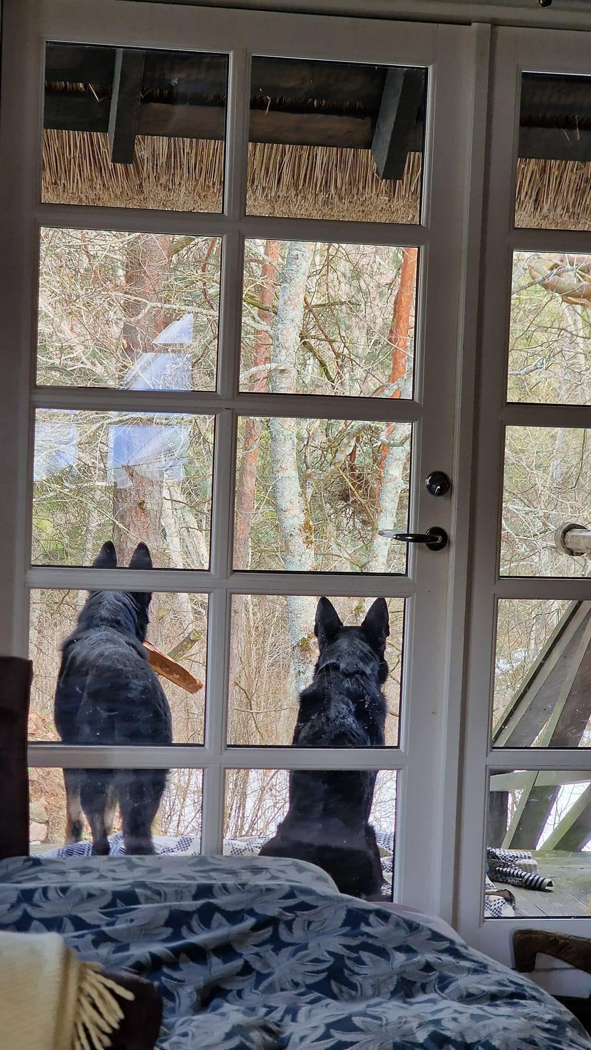 Security in Lithuania