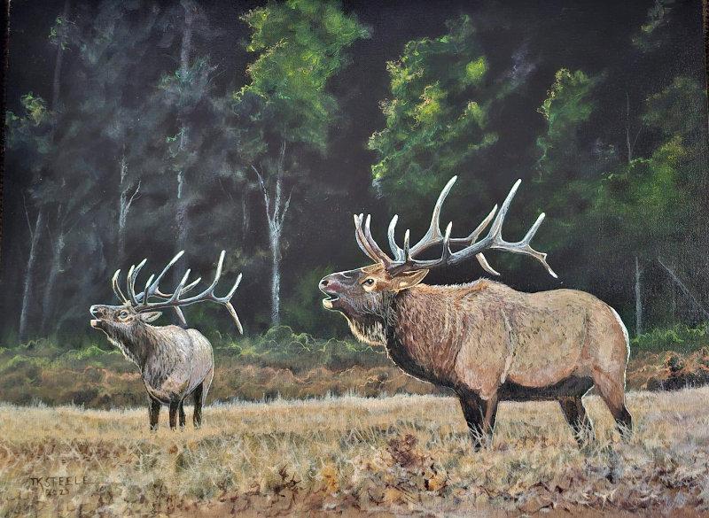 Here are a few more pictures available for purchase.