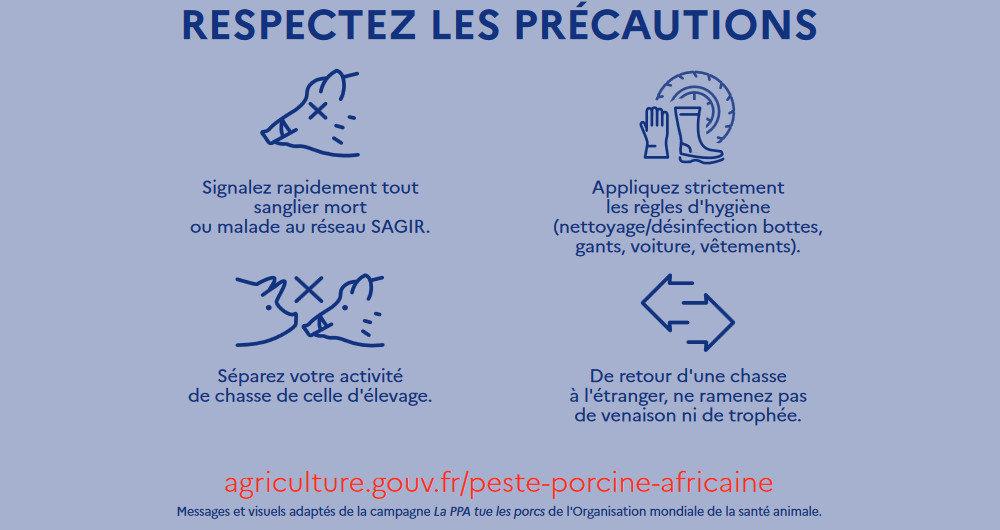 La peste porcine africaine génère pas mal de mouvement dans les ministères concernés en Europe depuis quelques temps ce qui peut laisser penser que la maladie reprend du poil de la bête.