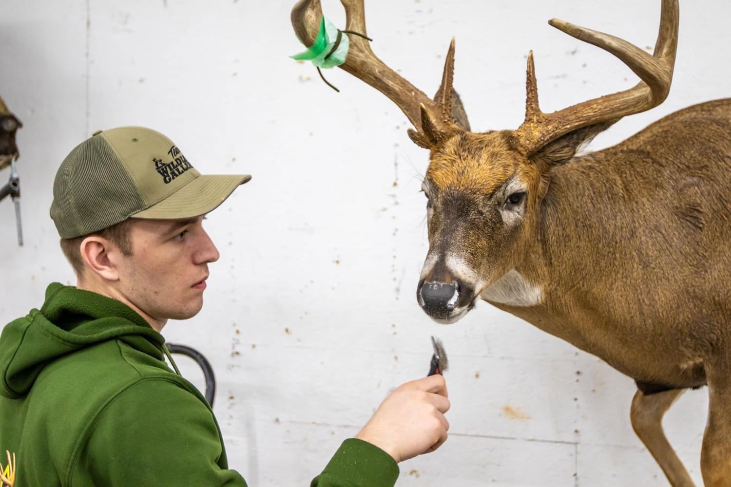 A few of our taxidermy artists at work!