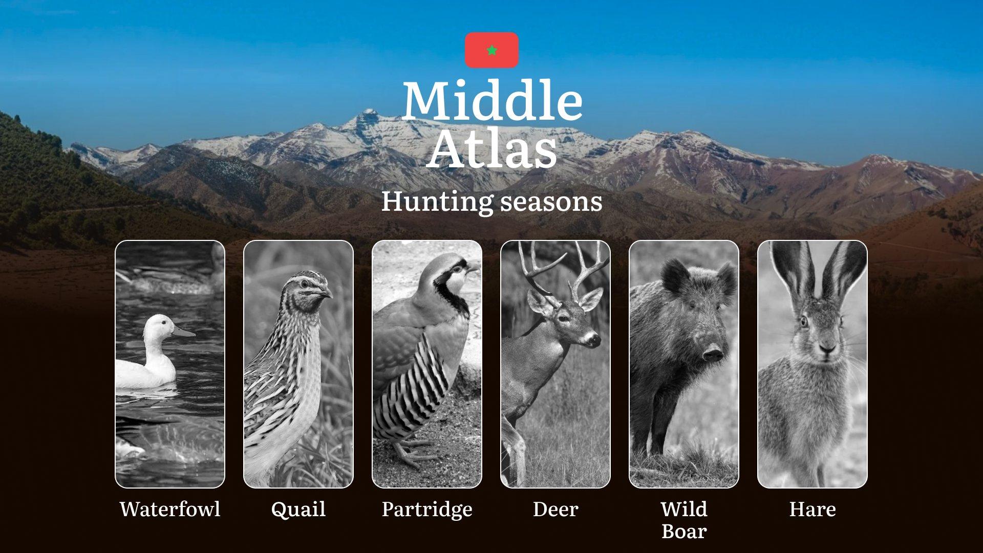 Hunting Seasons in Middle Atlas: Restrictions, Bans, and Protected Species, Choosing Timing, Gear, and Tactics