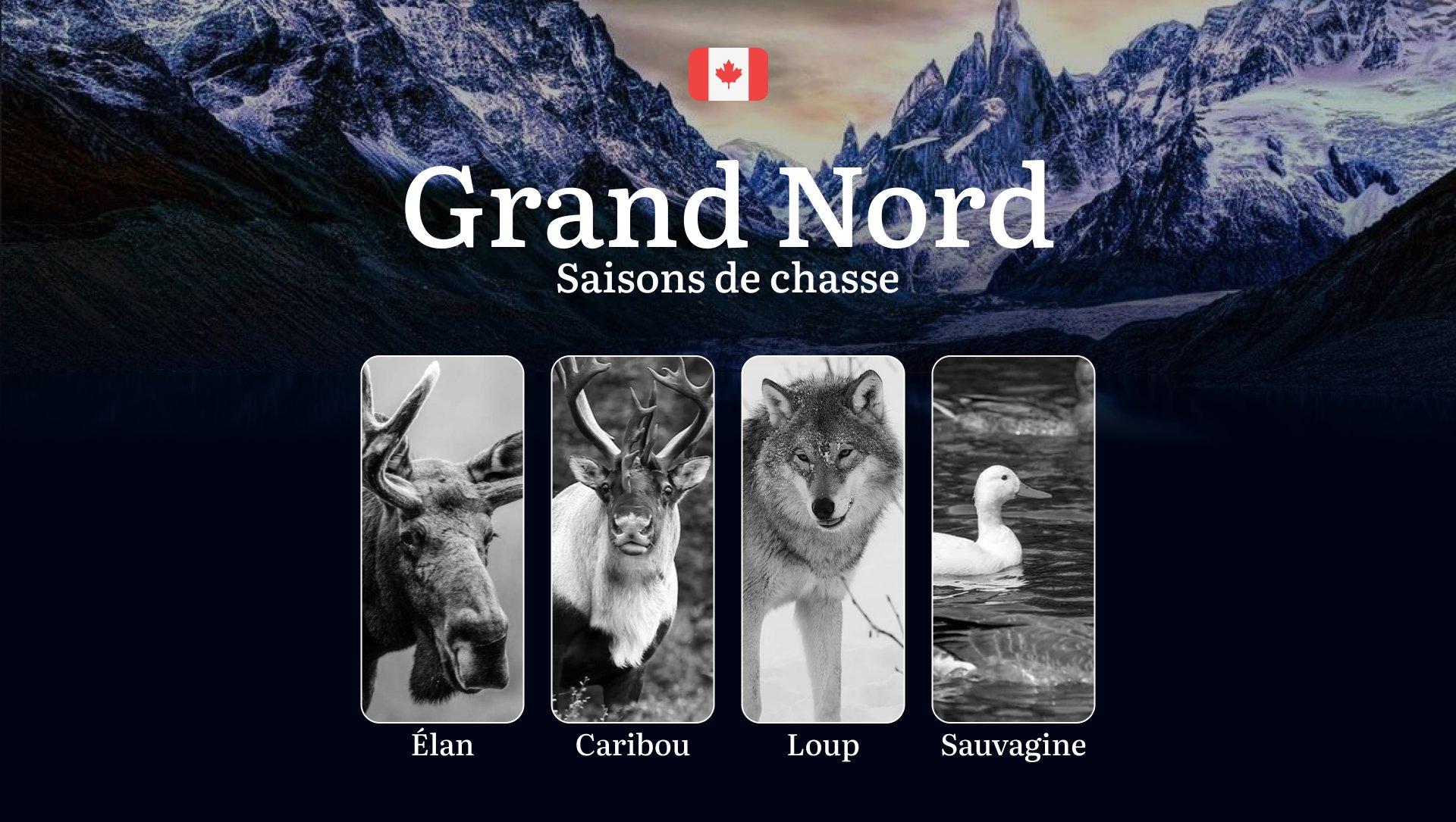 Les périodes de chasse au GRAND NORD canadien: calendrier complet, réglementations essentielles et stratégies éprouvées 