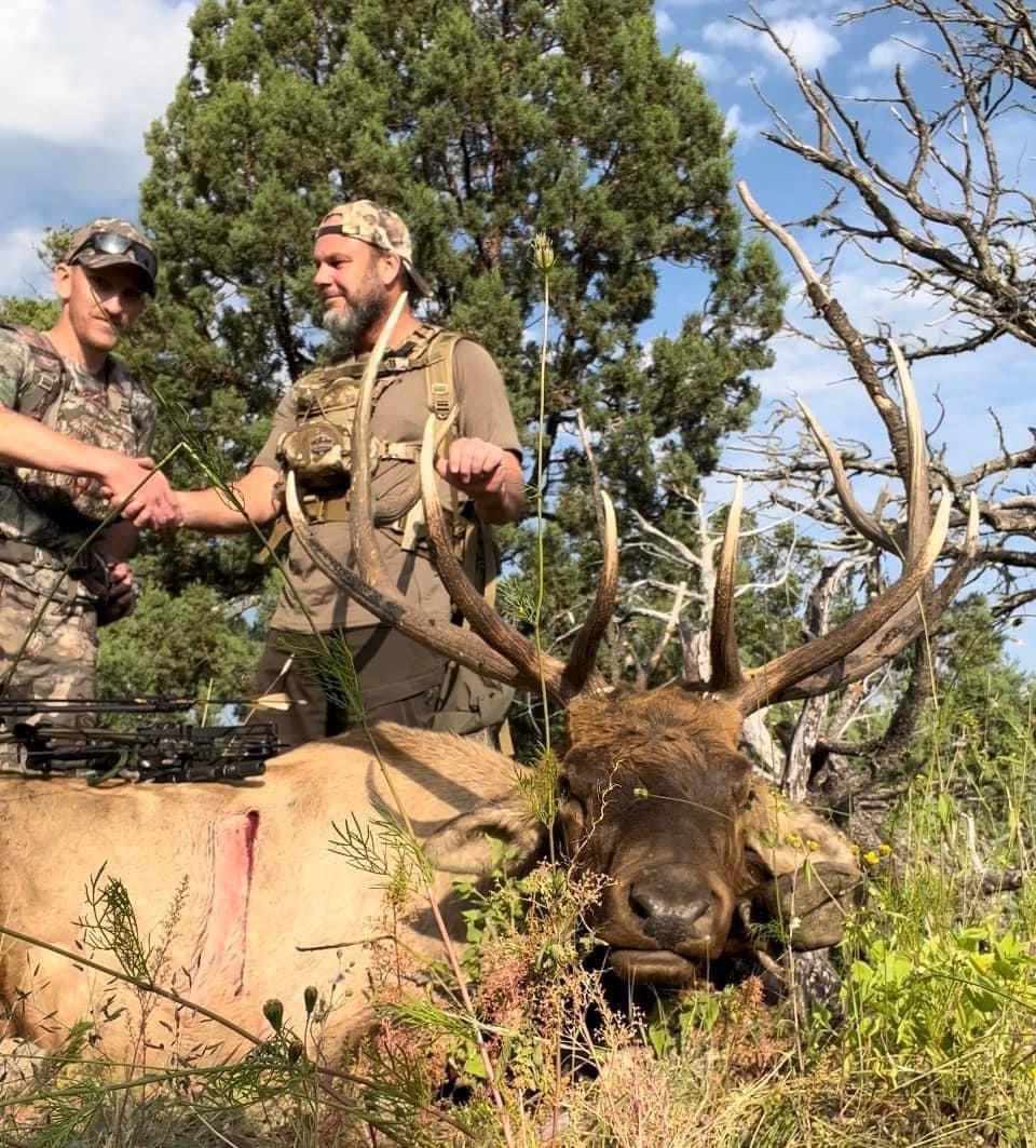 PRIME ELK MANAGEMENT ZONE BULL ELK ARCHERY RUT HUNTS NOW AVAILABLE FOR 2024!!!