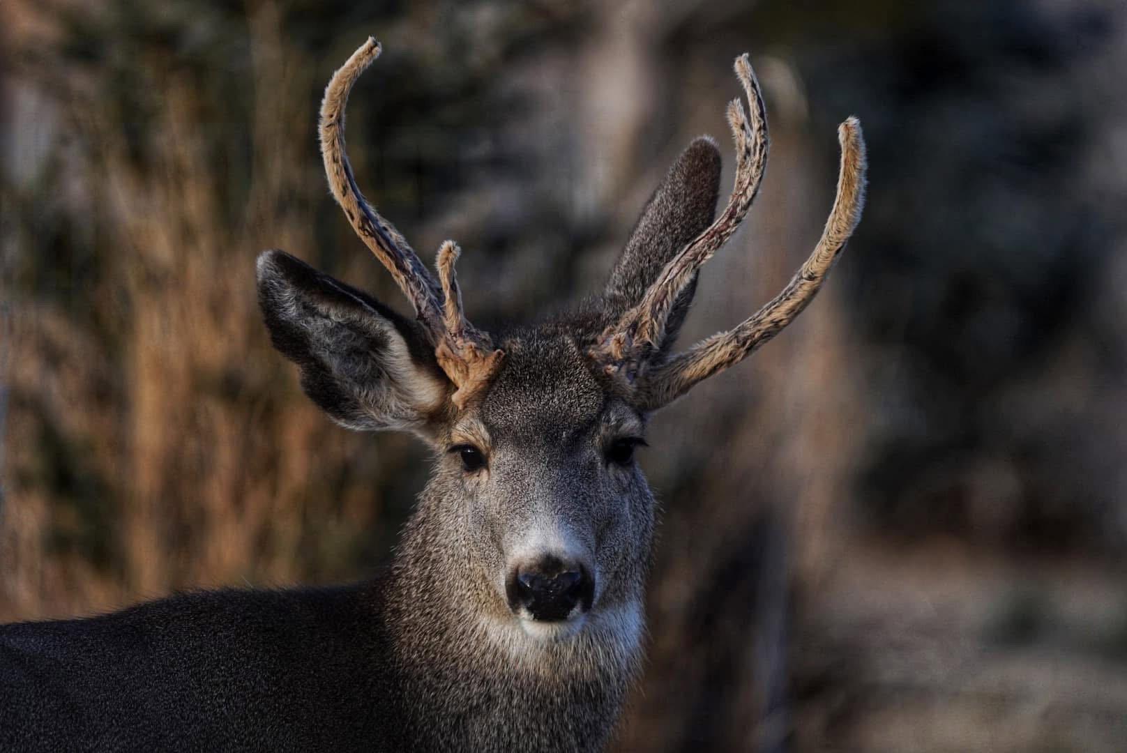 Here’s a couple of my favorite shots!