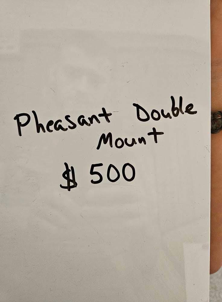 I have some farm raised bird mounts for sale.