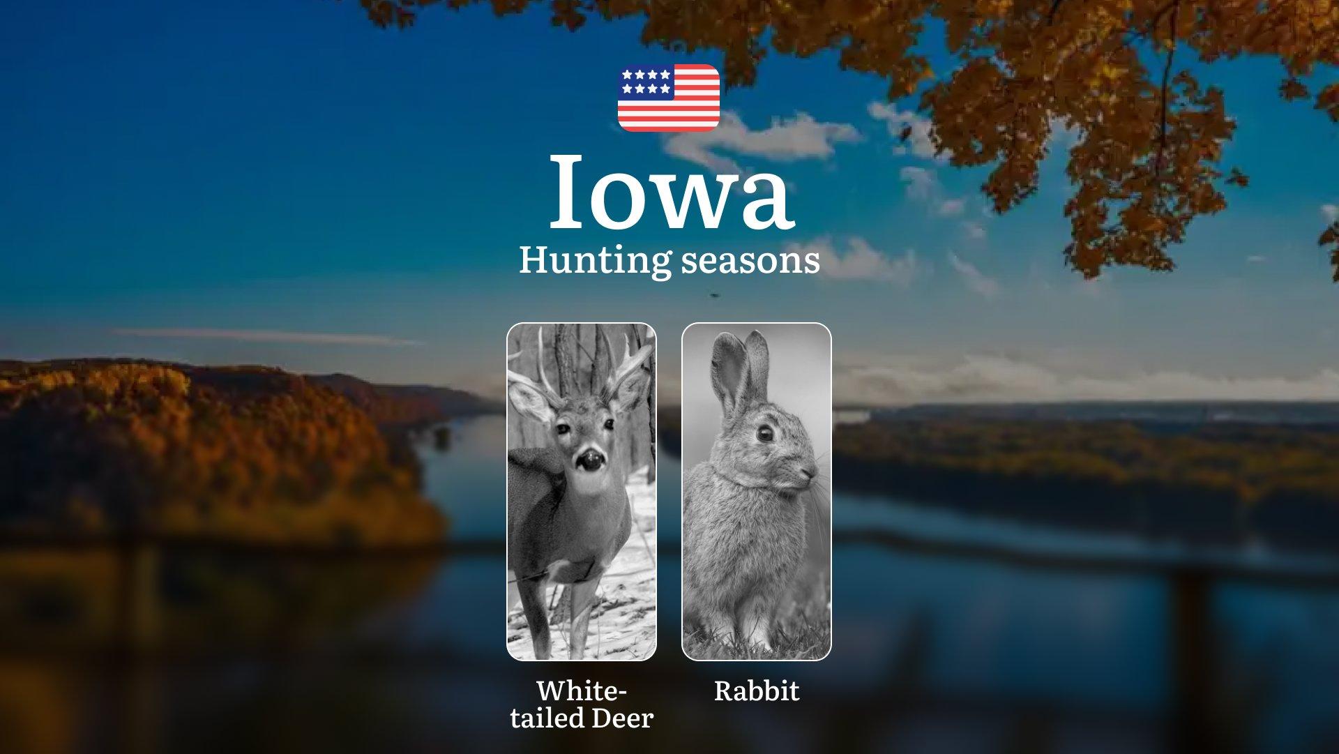 Hunting Seasons in Iowa: Seasonal Breakdown, Hunting Restrictions, Penalties for Violating Hunting and Proven Tips