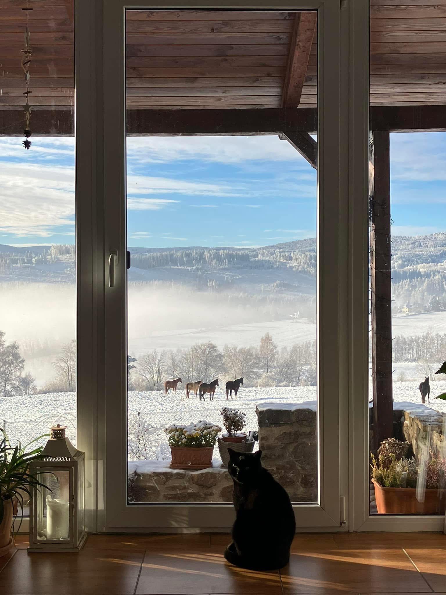 South Bohemia, Czech Republic 💚