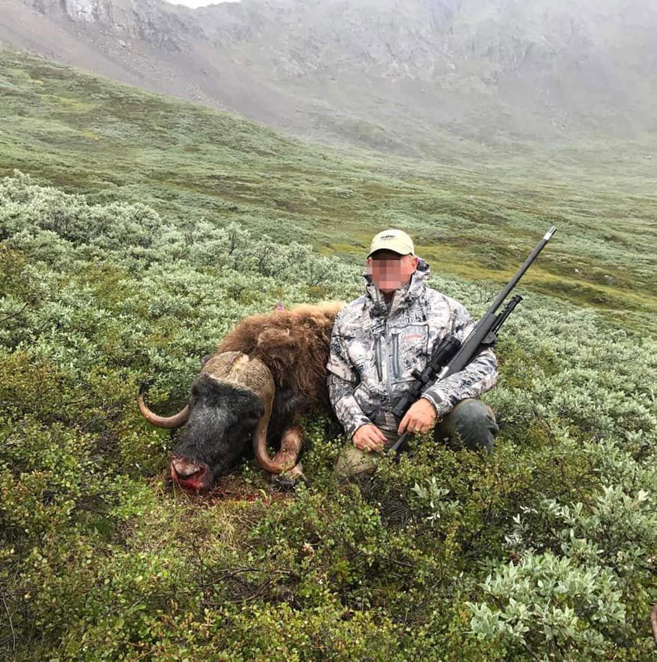 Go on a hunt in South Greenland.