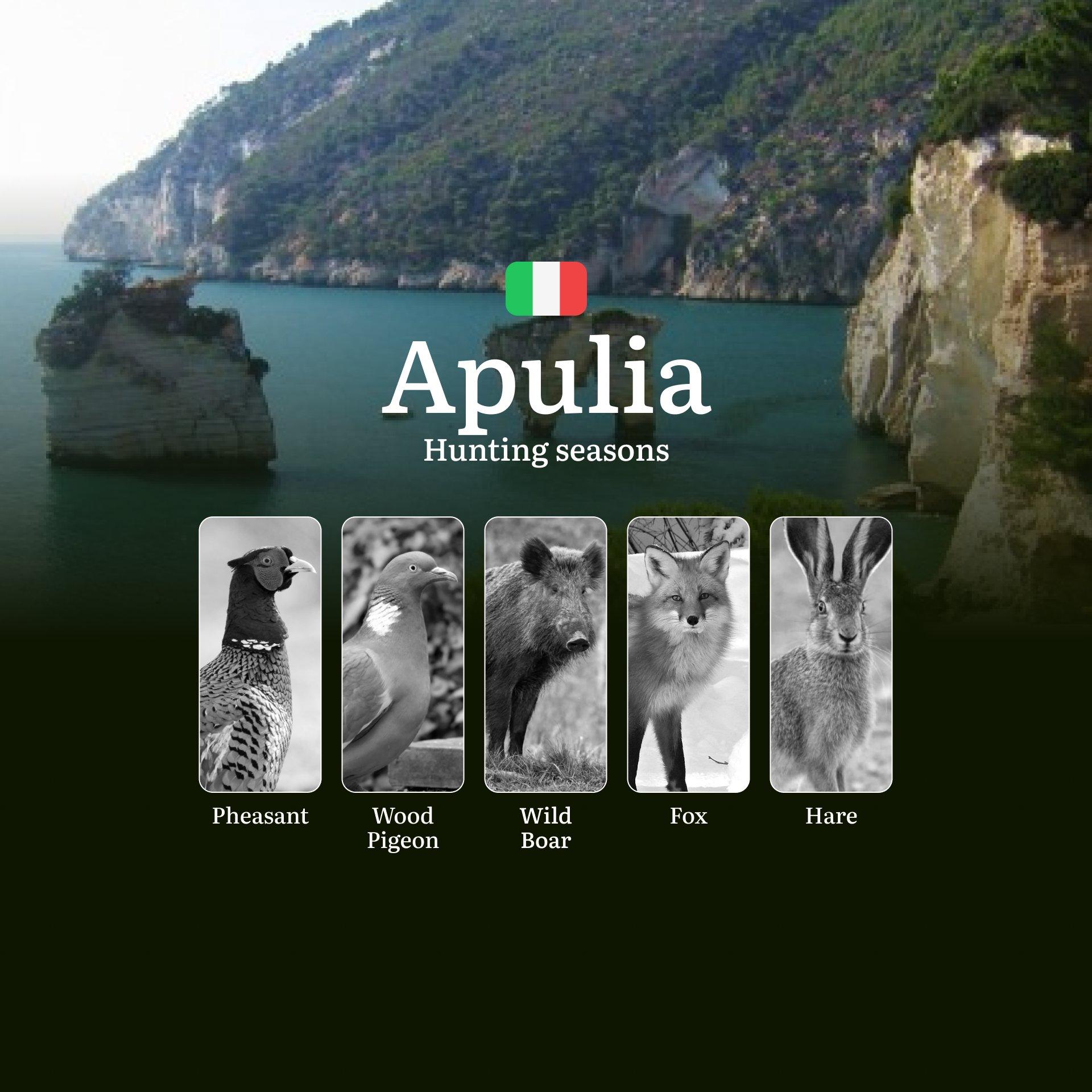 Hunting in Apulia: Calendar, Permits and Strategies for a Successful Season