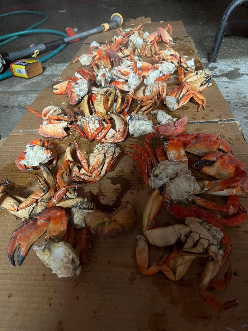 EPIC DAY ON THE BAY!