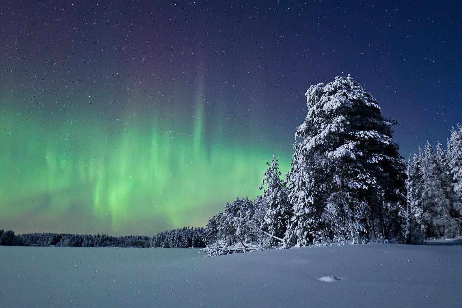 Taiga Forests Hunting in Finland: A Comprehensive Guide to Geography, Hunting Seasons, and Traditions
