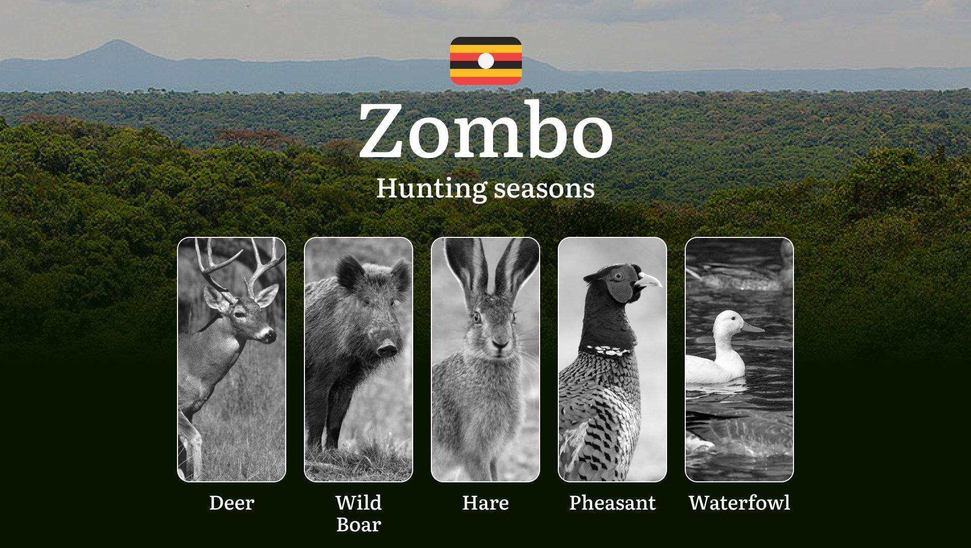 Permitted Hunting Intervals in Zombo: Year-Round Huntable Wildlife, Seasonal Migration of Game, and the Process for Securing a Legal Hunting Permit
