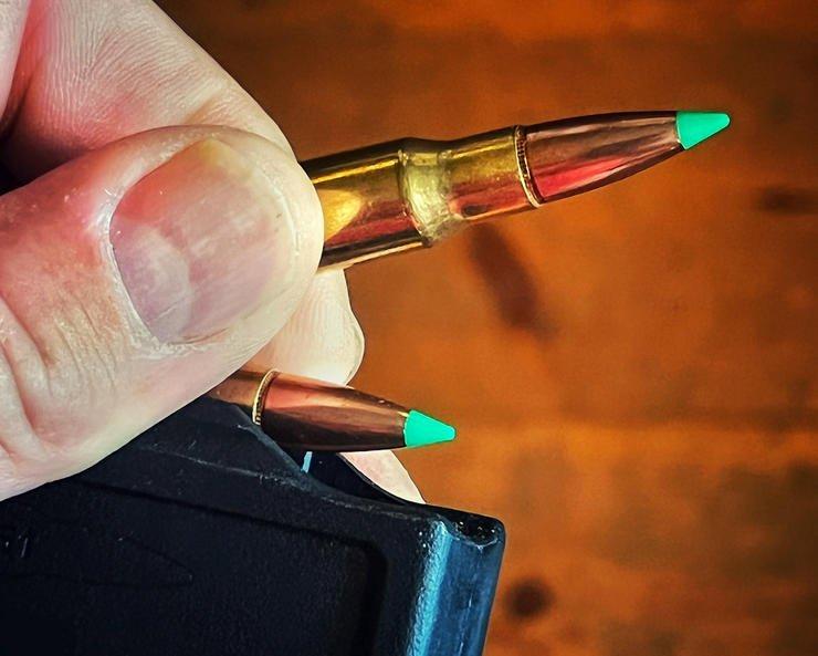Picking the Best Rifle and Caliber for Pig Hunting