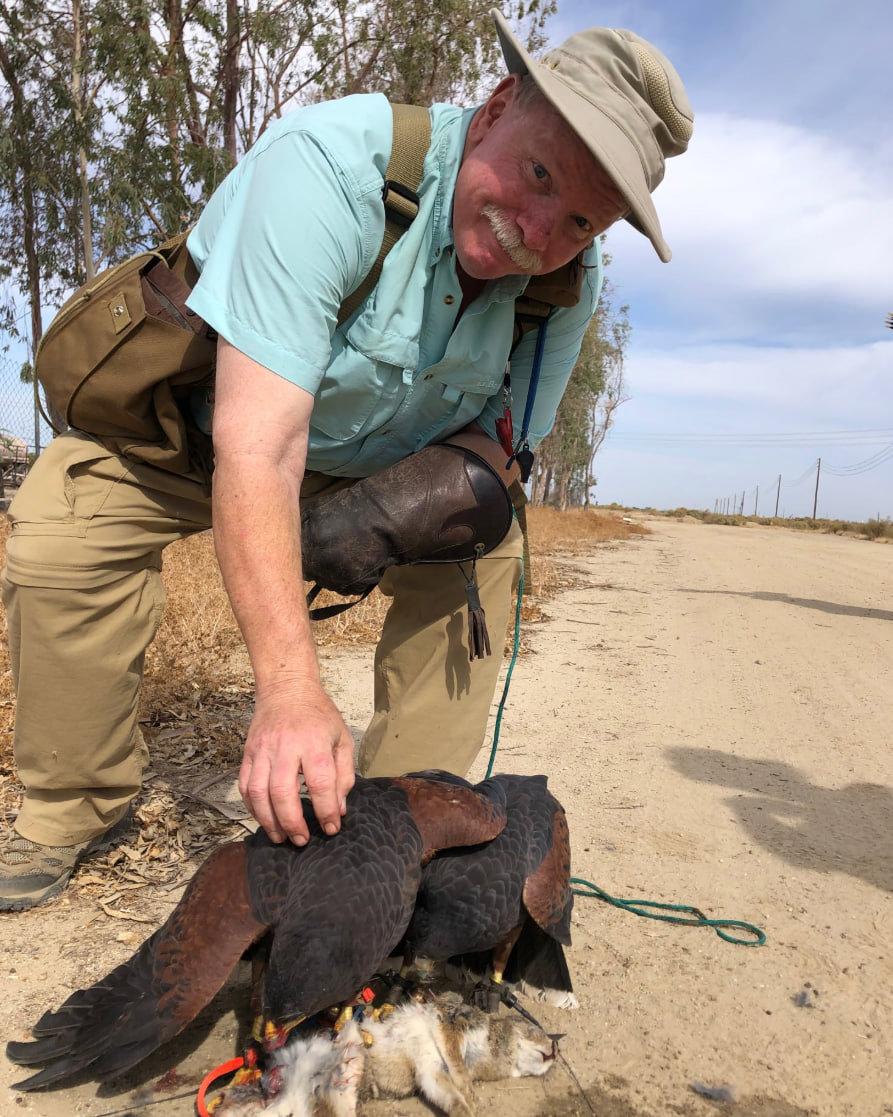The California Hawking Club was formed in 1971 by a small group of dedicated falconers to preserve and promote the public image of the art of Falconry, to assist in the conservation of birds of prey, and to collect and disseminate information through its publications.