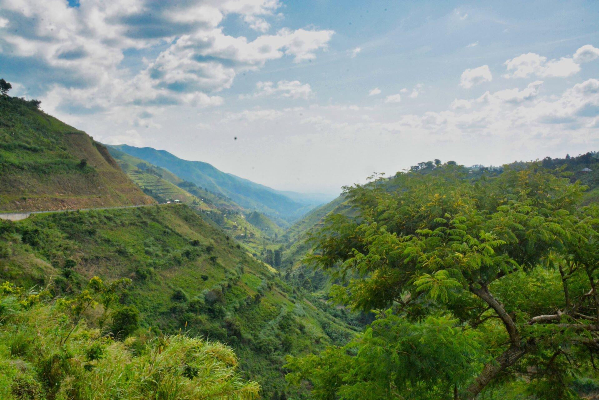 Hunting in Bundibugyo, Uganda: A Rugged Frontier for Adventurous Hunters Seeking Thrilling Experiences (Part I)