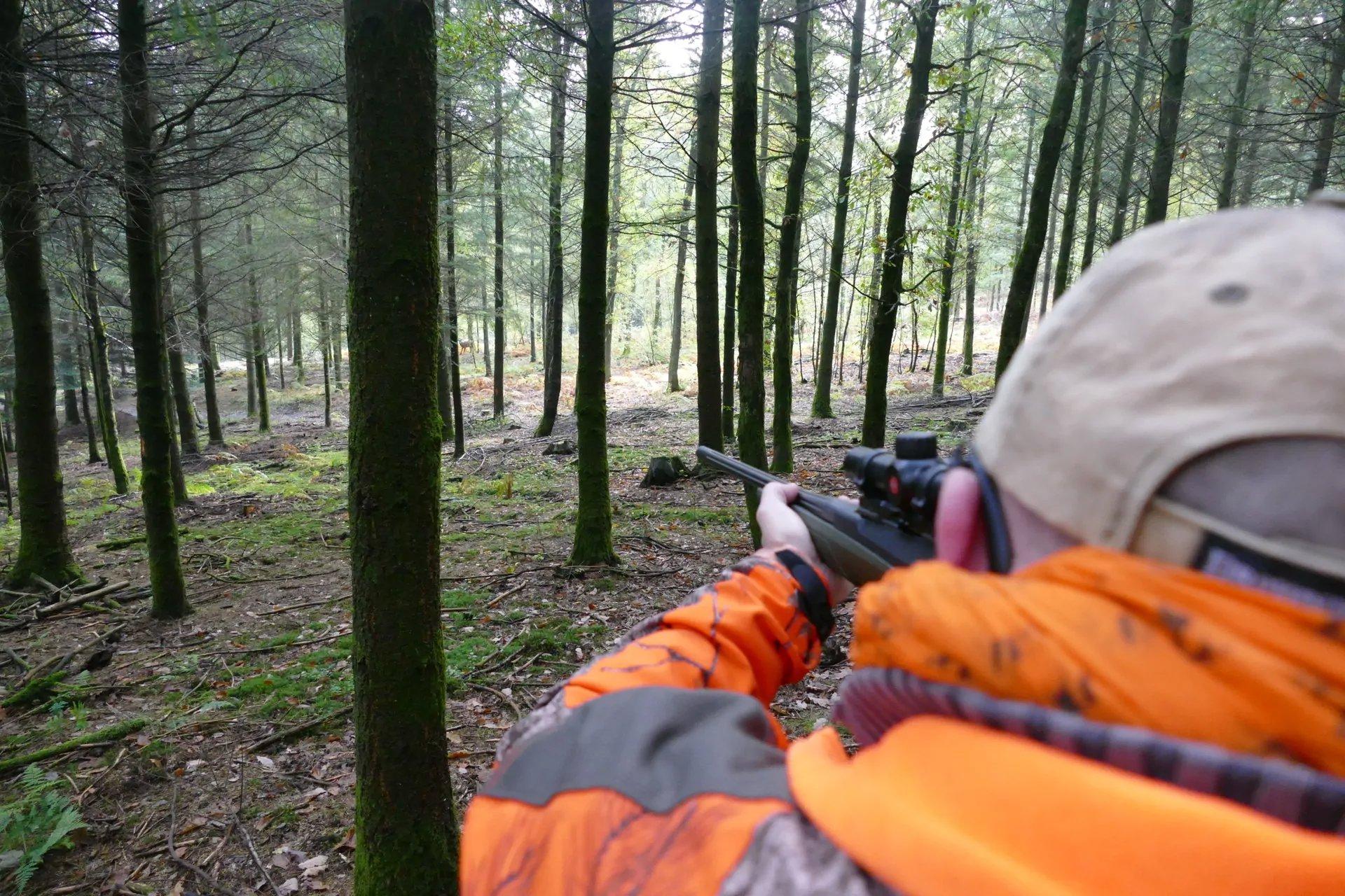 La chasse dans les ARDENNES: Forêts giboyeuses, traditions ancestrales, types de gibier, saisons de chasse et vie des chasseurs dans l’un des territoires cynégétiques les plus riches du nord-est de la France