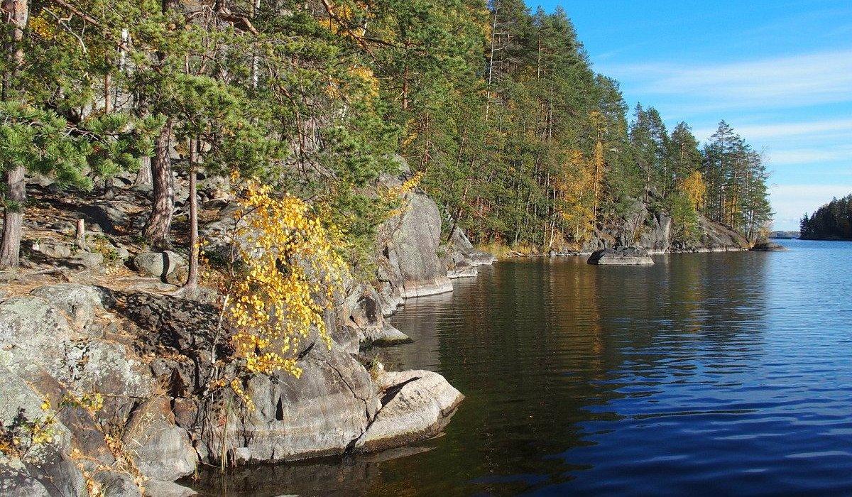 Savonia (Savo) Hunting: Geography, Clubs and Laws, Species, Game, and Cultural Traditions