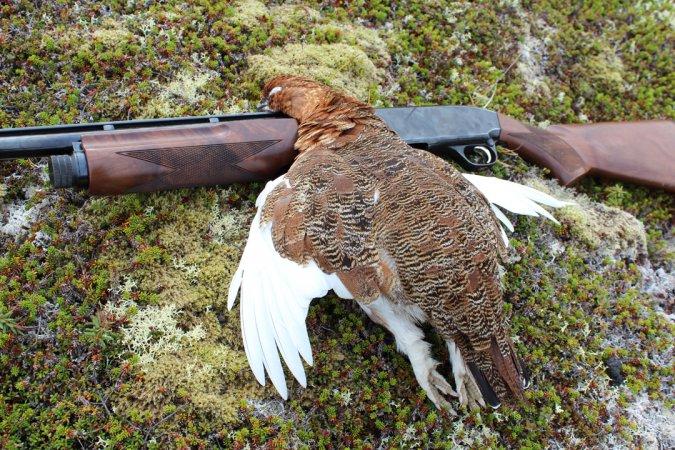 How To Take Better Hunting Photos