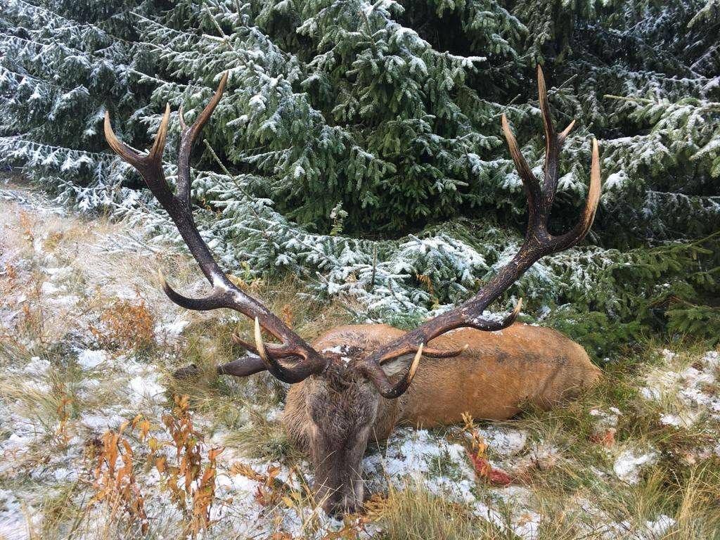 Jagd im Albula (Kanton Graubünden), Schweiz: Regionale Merkmale, Bevölkerung, Jagdansätze, Wildtiere, Jagdperioden, Vereine, Lizensen und Sitten