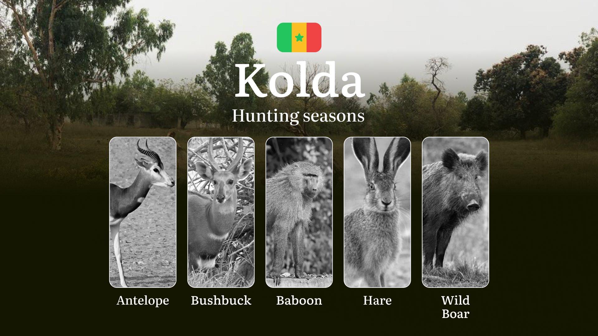 Time of Hunting in Senegal: Dates of Hunting in the KOLDA Region, Hunting Permits and Penalties for Violating Hunting Rules