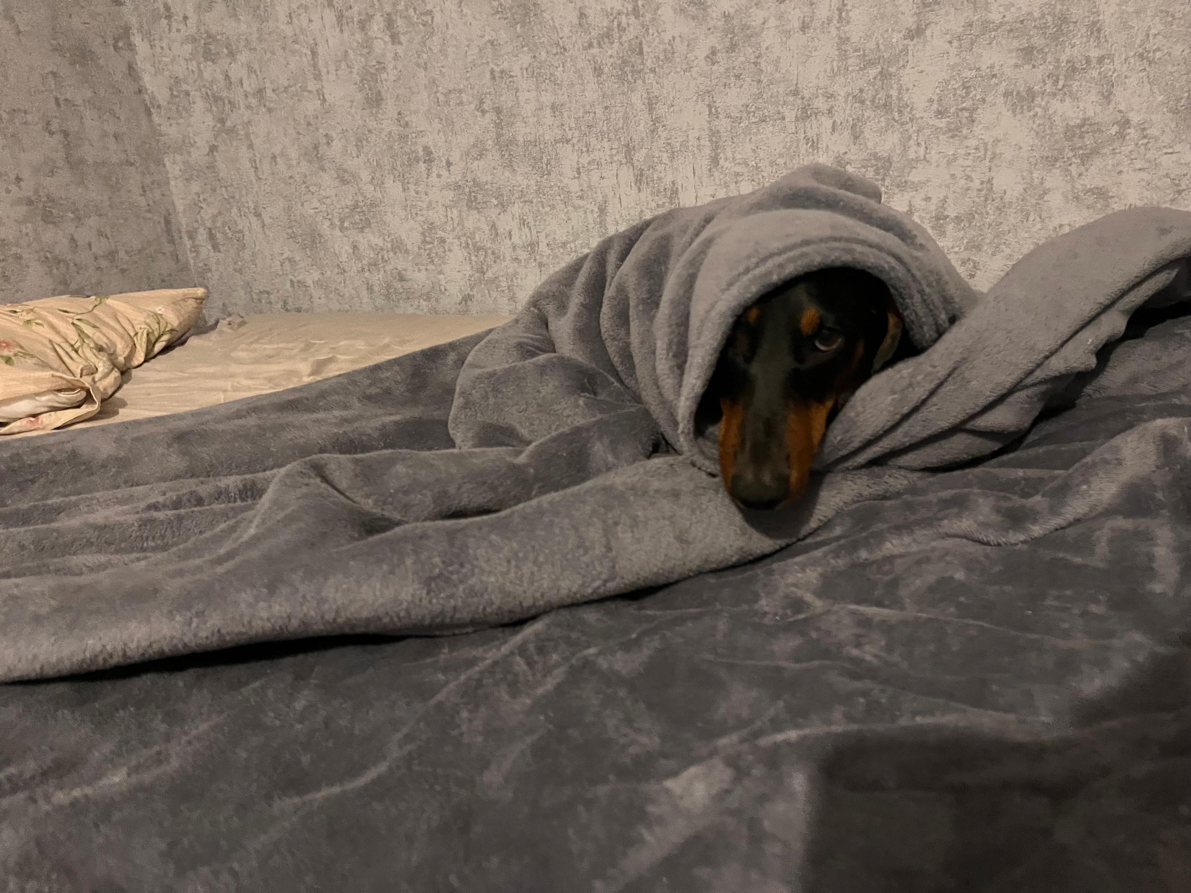 Пете 5 лет сегодня!
