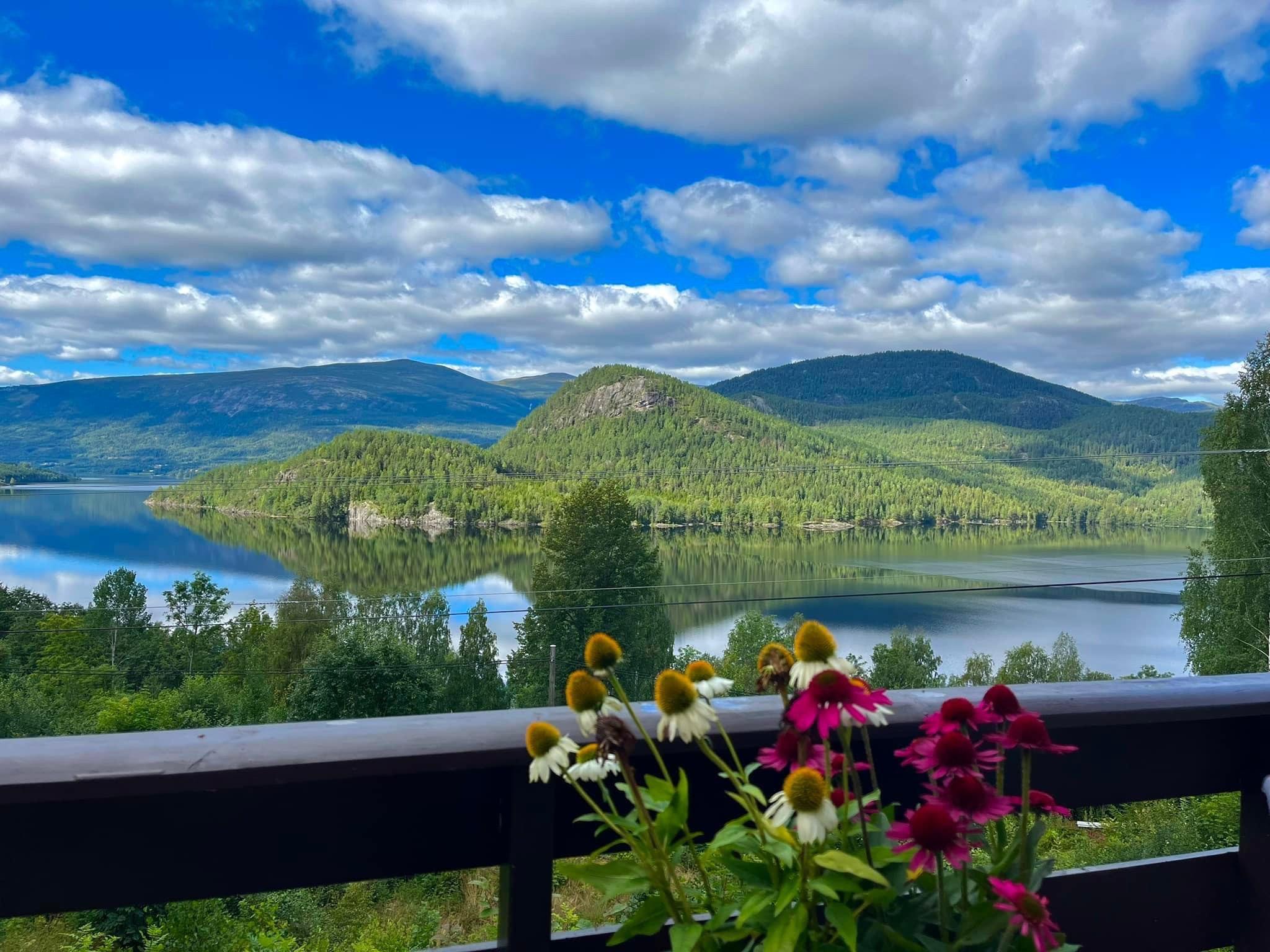 View from my lovely cabin in Norway 🇳🇴