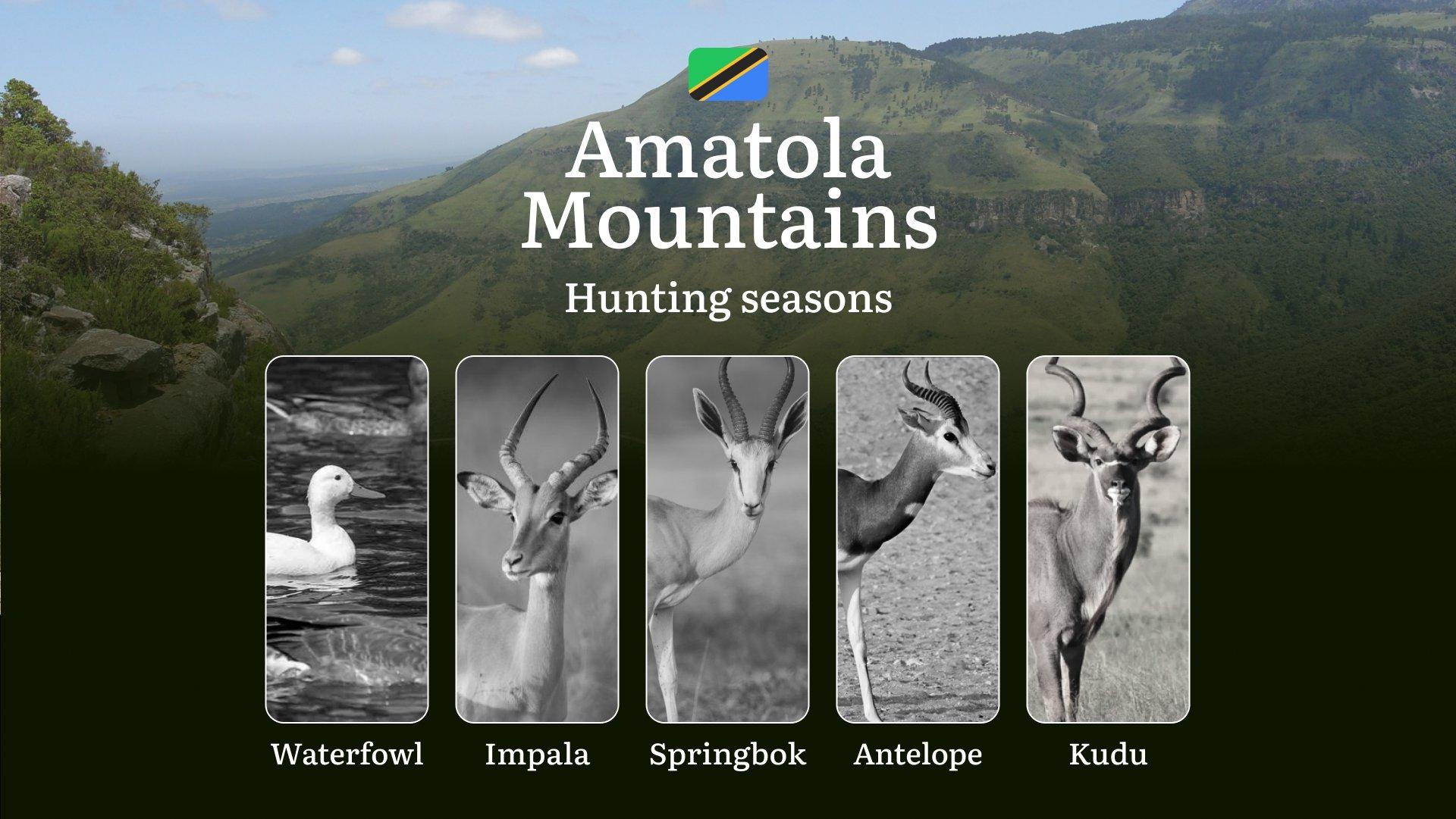 Hunting Seasons in the Amatola Mountains, South Africa: Hunting Periods, Licenses, Rules, and Tips and Tactics for Hunters