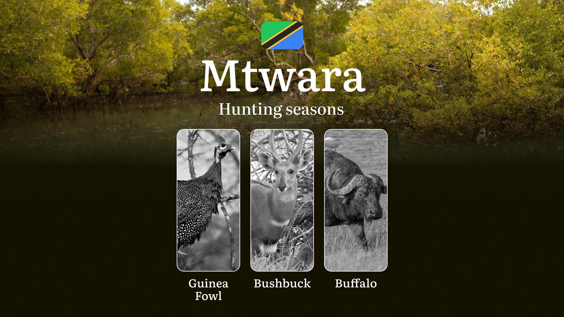 Official Hunting Timeline in Mtwara: Legal Limits and Seasonal Bans, Licensing Rules, Fines and Consequences for Breaches, Strategic Planning, Best Timing, Equipment Choices