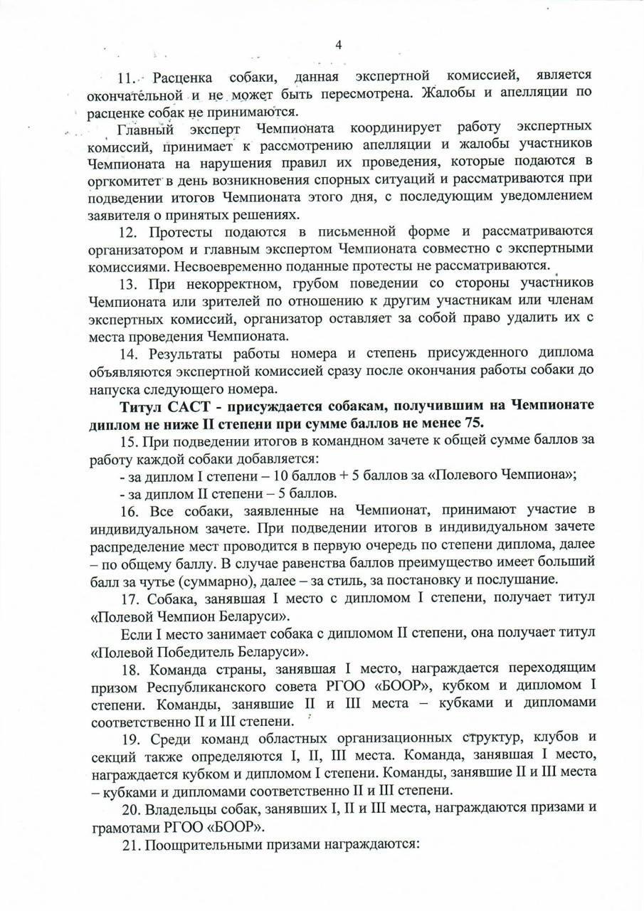 Чемпионат «Горка-2025»: главное событие для легавых собак и их владельцев в Беларуси