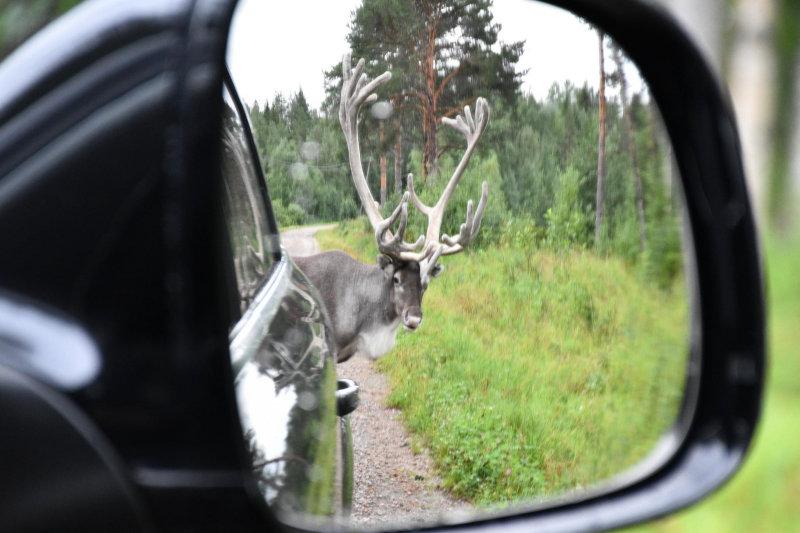 Finland