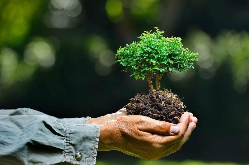 🌍🌿 Очување природе је кључ будућих ловачких авантура!