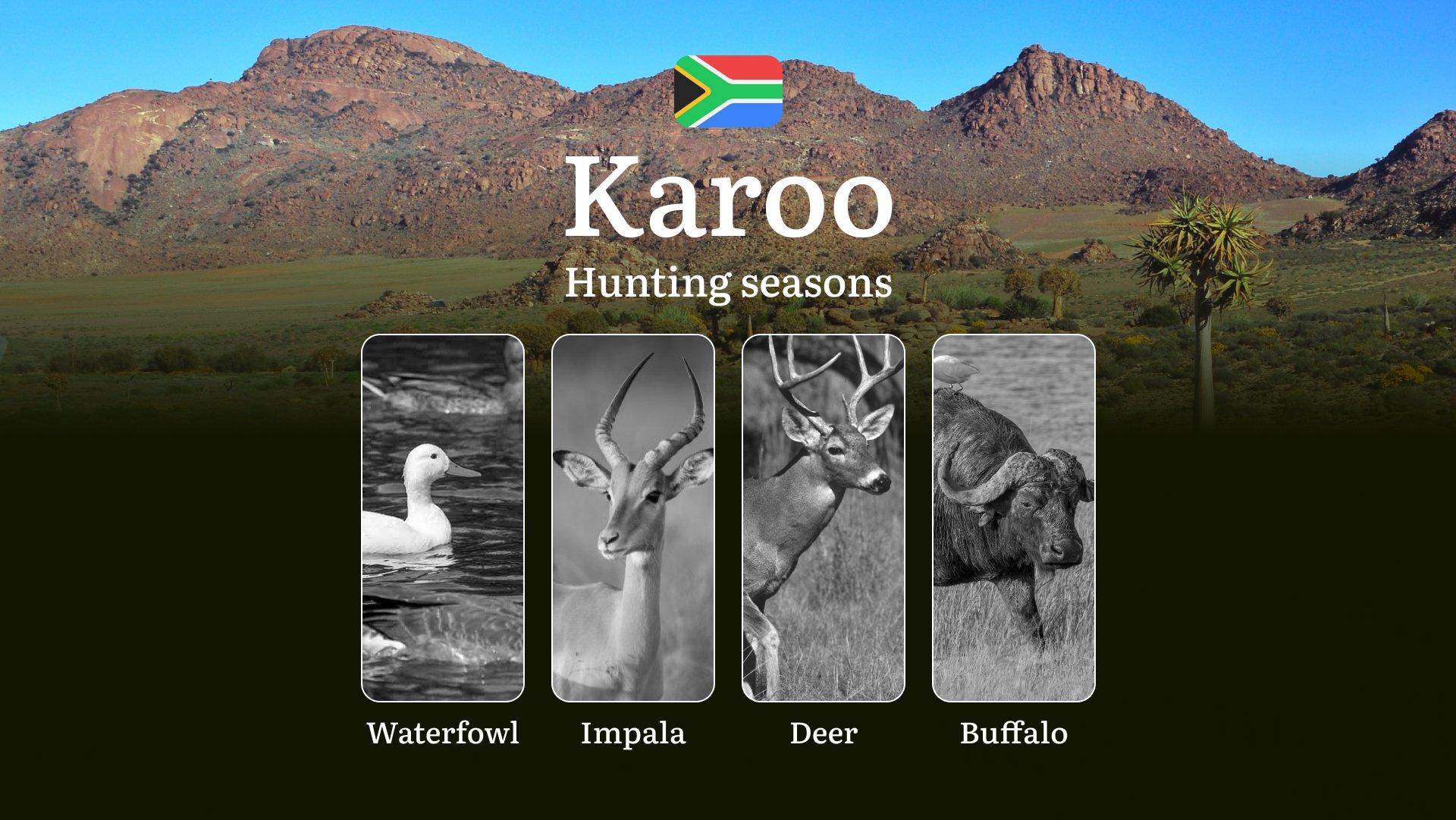 Hunting Periods in South Africa: Karoo Region Features, Seasons, Licenses and Rules of Hunting, Bans and Restrictions