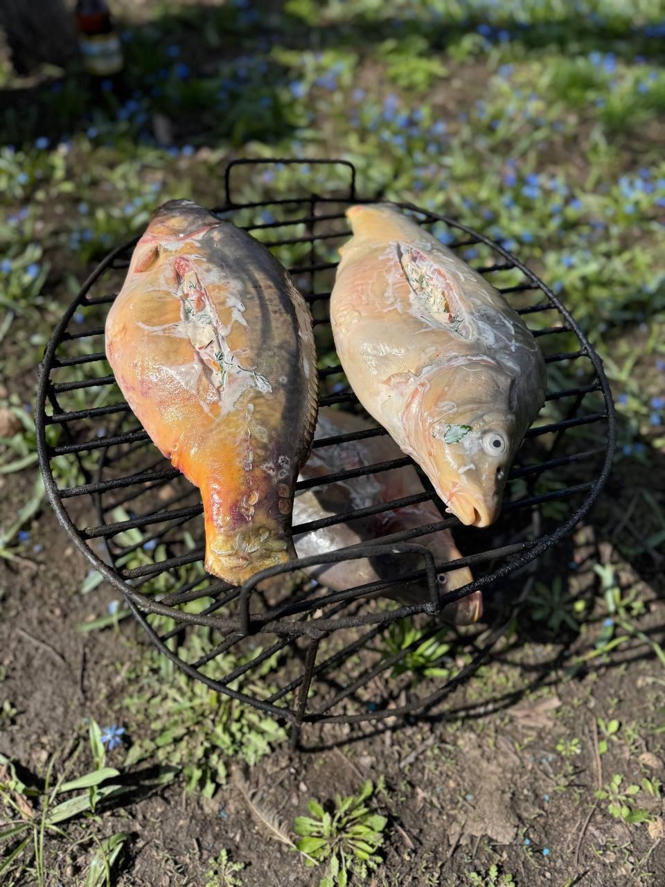 Maxim from the Rila NV team in Stavropol Krai decided to treat us to such culinary delights today🎣